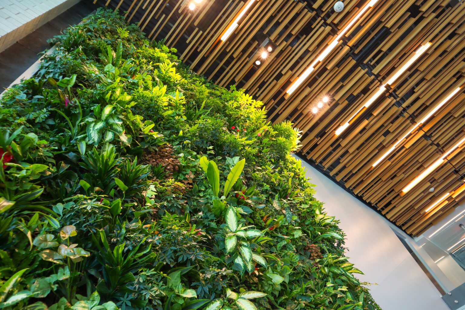 Vibrant green living wall with bright green plants floor to ceiling in an office building with light natural wood paneling on ceiling.