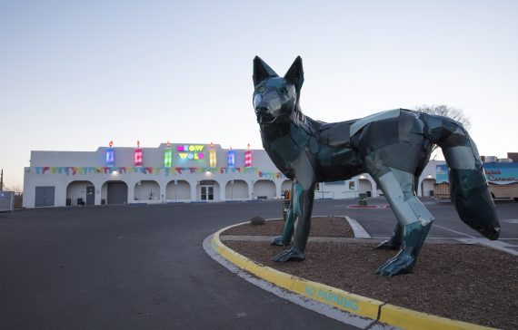 Client Profile: Meow Wolf