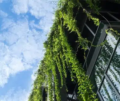 More Than a Green Wall: The Science Behind Biophilic Design