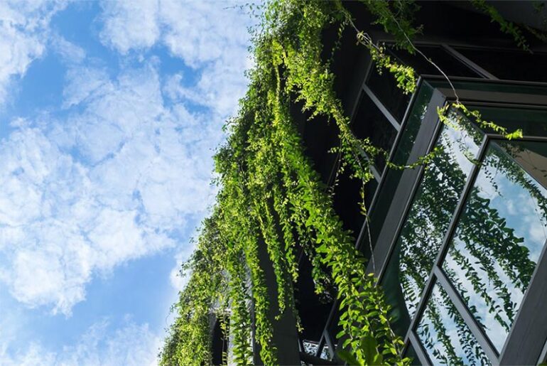 More Than a Green Wall: The Science Behind Biophilic Design