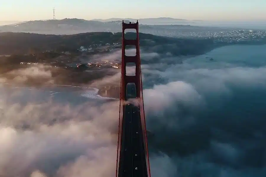 stok-2020-year-in-review-video