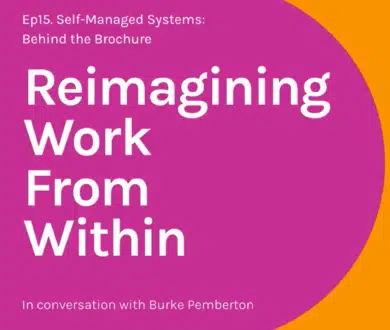 Reimagining Work From Within Podcast: Self-Managed Systems: Behind the Brochure with Burke Pemberton