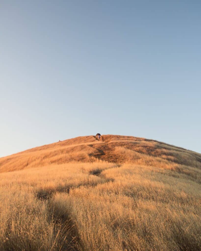 Dry grassy hill at golden hour with blue sky behind.