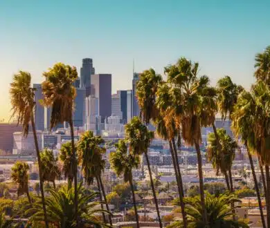 Navigating the Wave of Global Climate Risk Regulations Part 2: How to Turn Compliance into Competitive Advantage
