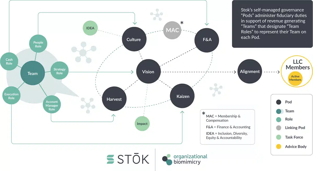 Stok's Structure Stok's Structure