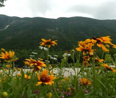 Stok Impact: Progress Toward Purpose in Our 2024-2025 Report