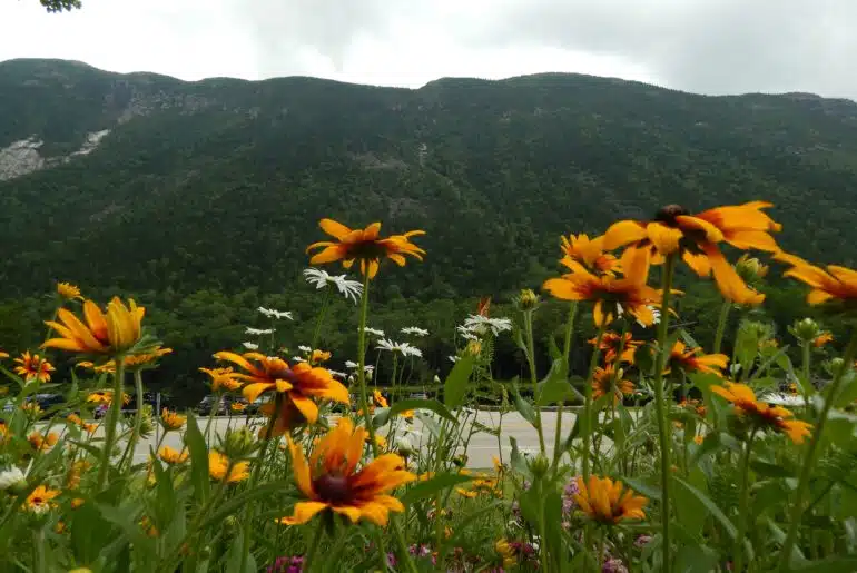 Stok Impact: Progress Toward Purpose in Our 2024-2025 Report