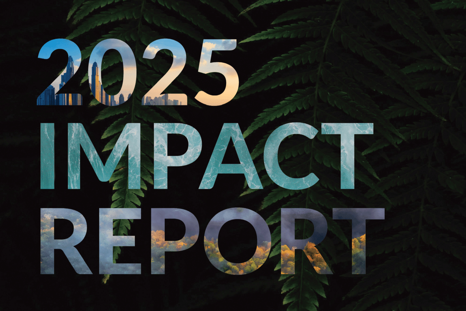 Stok 2025 Impact Report cover
