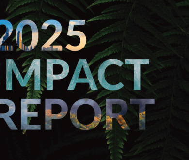 Making Lasting Change: Inside Stok’s 2025 Impact Report