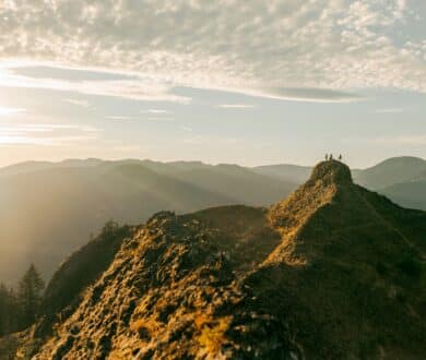 What Does It Mean to Be a Carbon-Neutral Company? Stok’s Approach