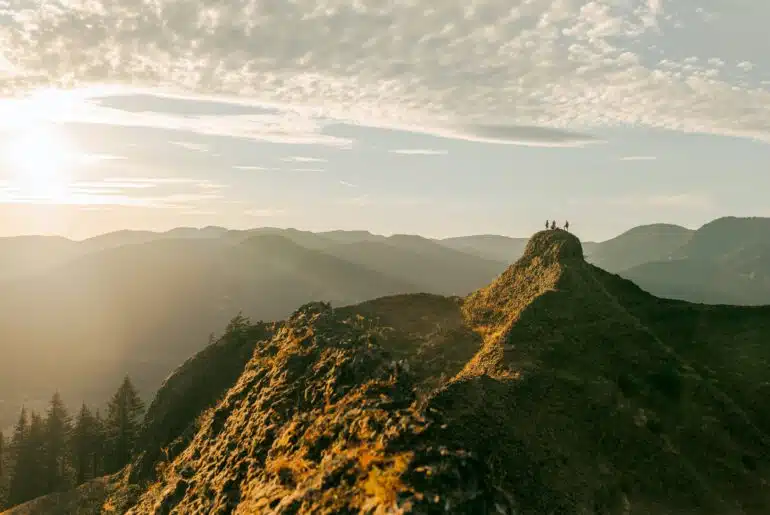 What Does It Mean to Be a Carbon-Neutral Company? Stok’s Approach
